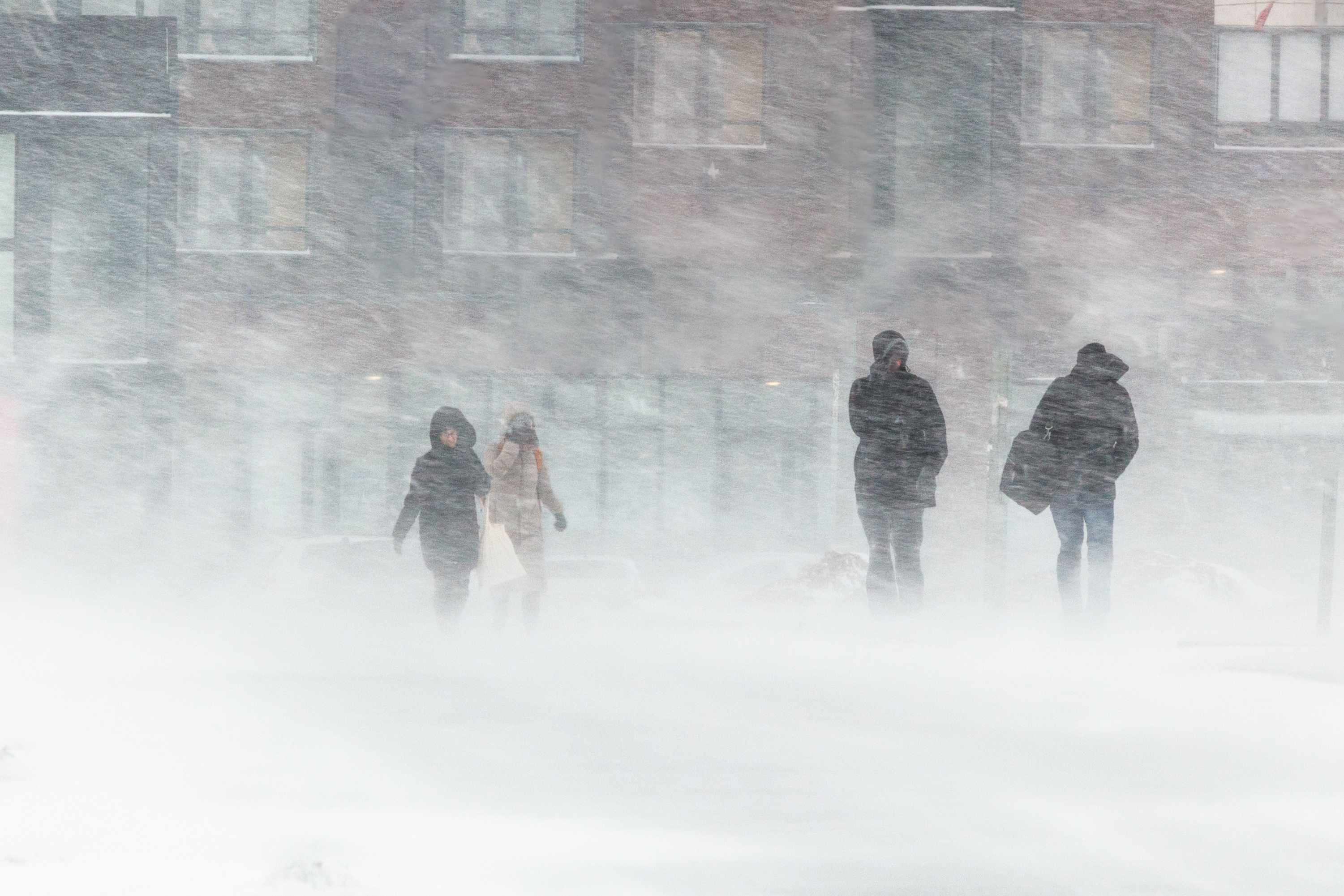 Winter Storm Preparation