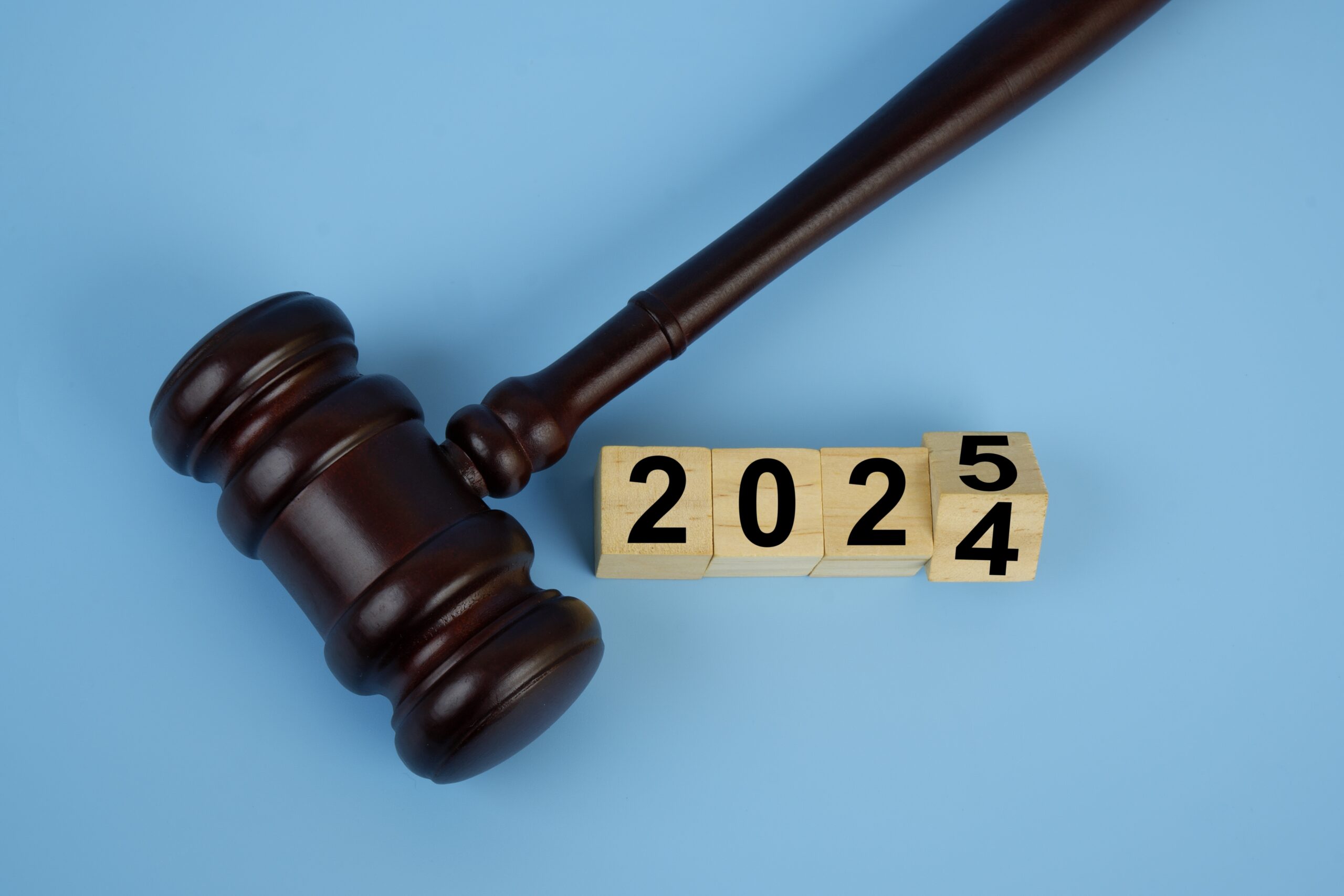 New Laws for the New Year: What to Know in 2025